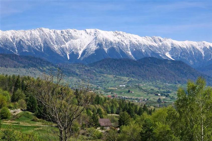 Teren Construcții intravilan de 6966 mp, în Bran