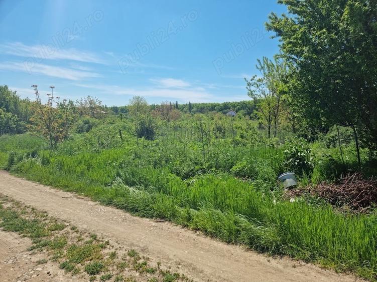 Teren de 1383 mp, în Bolintin-Deal