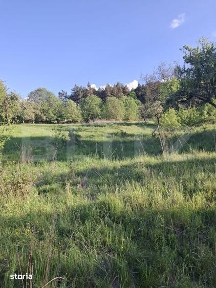Teren de 10000 mp, în Tărlungeni