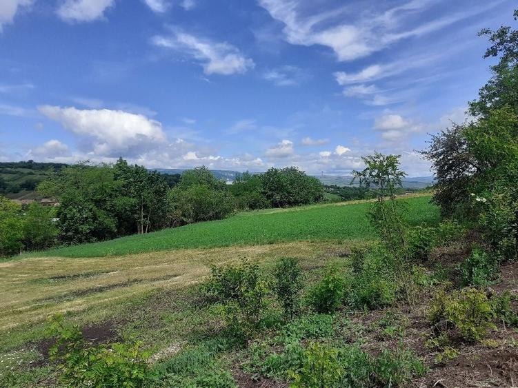 Teren de 1800 mp, în Bădeni