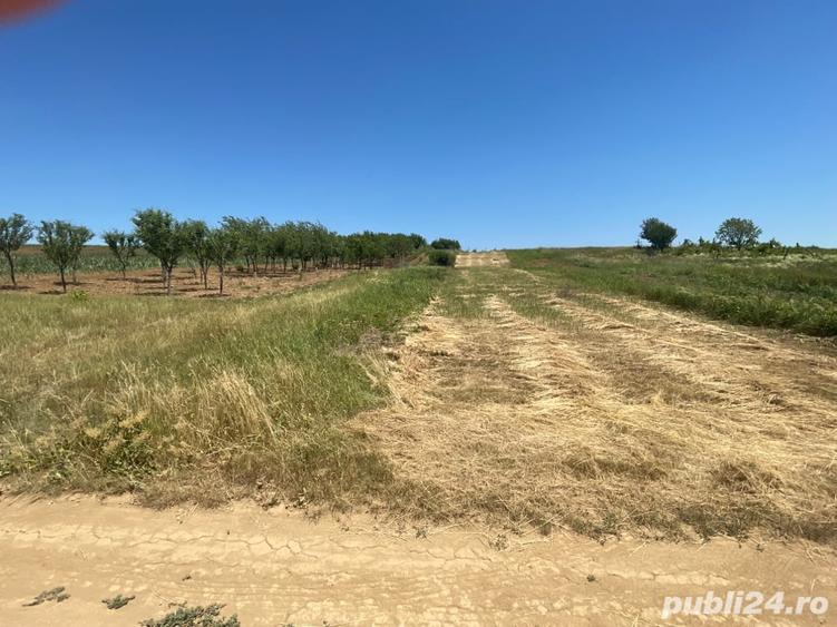 Teren de 1200 mp, în Paleu