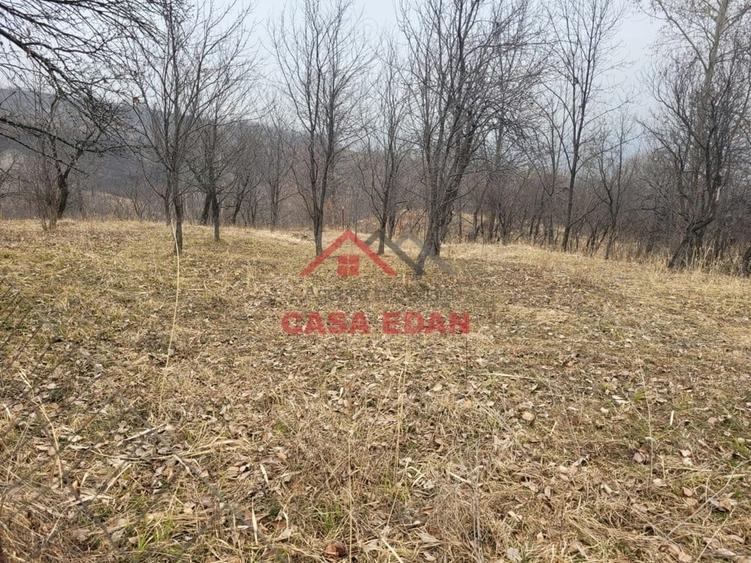 Casă cu Teren 1358 Mp în Gura Beliei