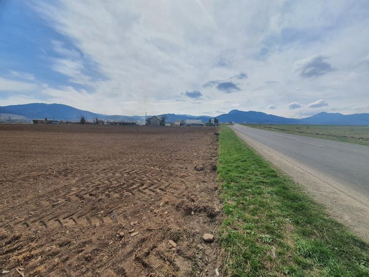 Teren Construcții intravilan de 11100 mp, în Tărlungeni