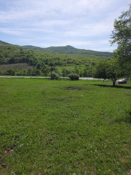 Teren intravilan - Herina - 1
