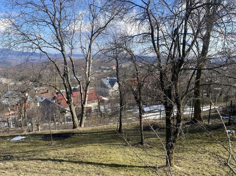 Teren de 2500 mp, în Talea