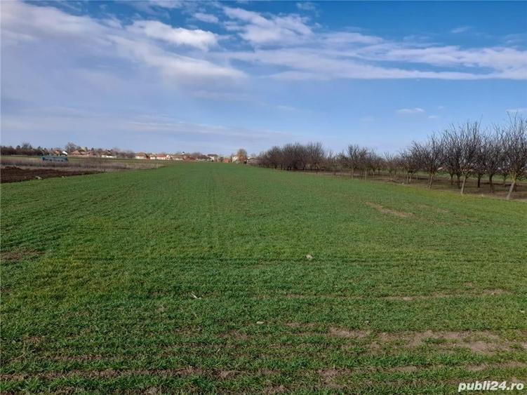 Teren de 9100 mp, în Central
