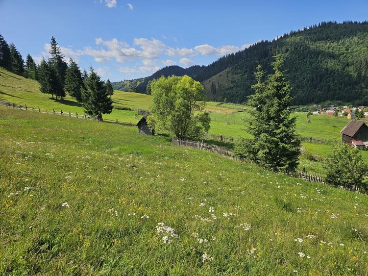 Teren extravilan de vanzare cu priveliste superba in Bucovina zona Breaza - 7
