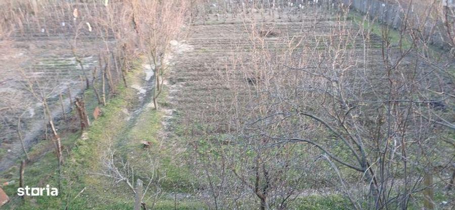 Teren de 752 mp, în Hinova