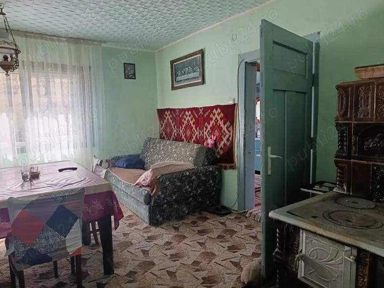 Casă cu 3 camere în Muntele Băișorii