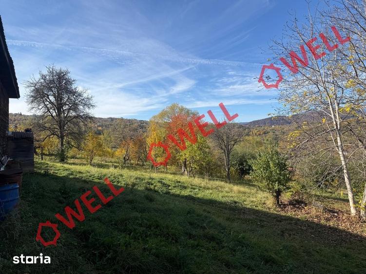 Casă cu Teren 4831 Mp în Bran