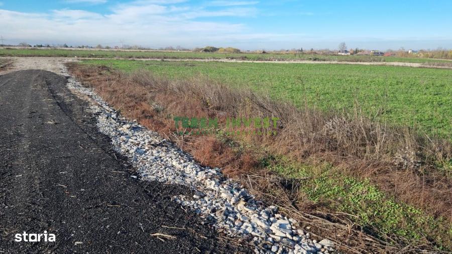 Teren de 460 mp, în Central