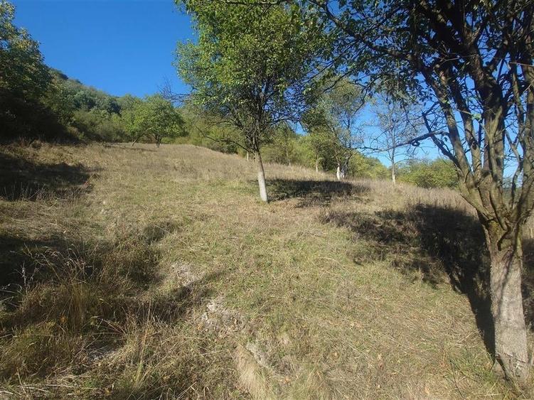 Teren Construcții extravilan de 14075 mp, în Crișcior