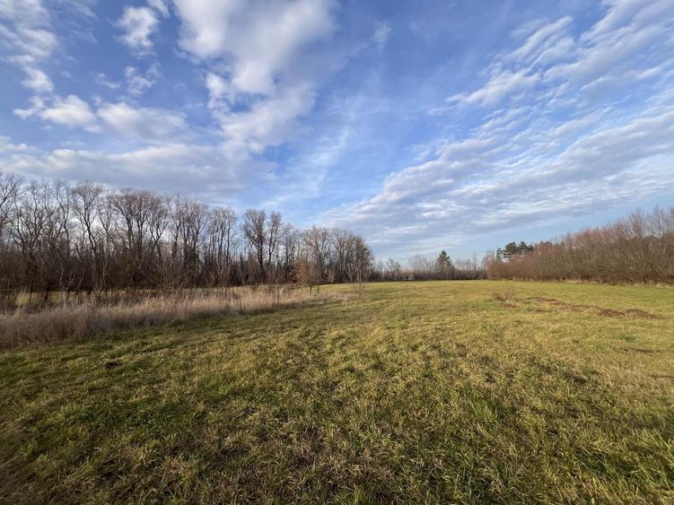 Teren Construcții intravilan de 7244 mp, în Hurjuieni