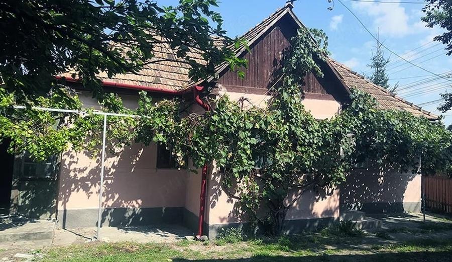 Teren de 12000 mp, în Ierbuș