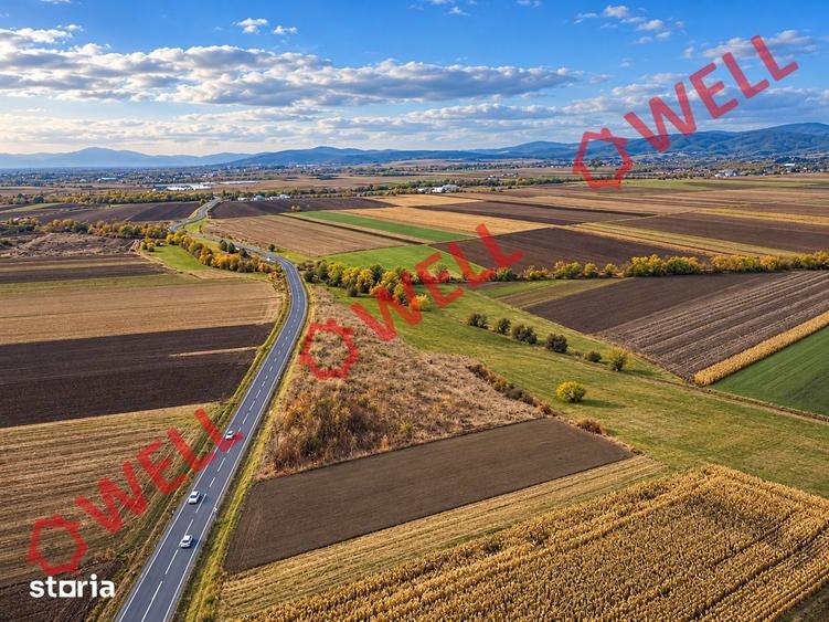 Teren de 11300 mp, în Valea Crișului