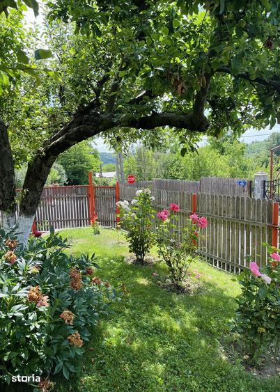 Casă cu 4 camere cu Teren 1670 Mp în Central