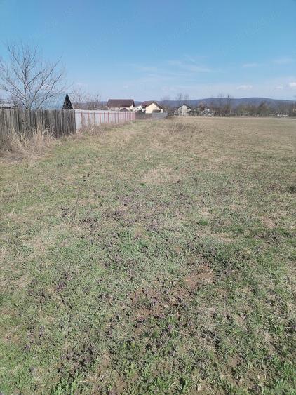 Teren de 5500 mp, în Ruși-Ciutea