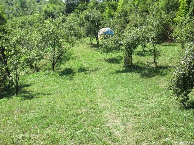 Teren de 4000 mp, în Drăgăneasa