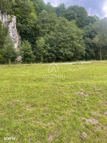 Teren de 4500 mp, în Dâmbovicioara