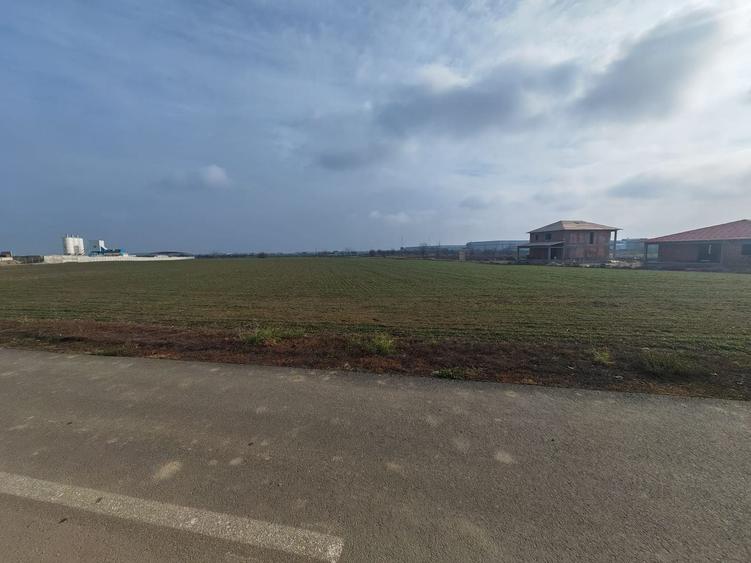 Teren Construcții intravilan de 31200 mp, în Dragomirești-Vale
