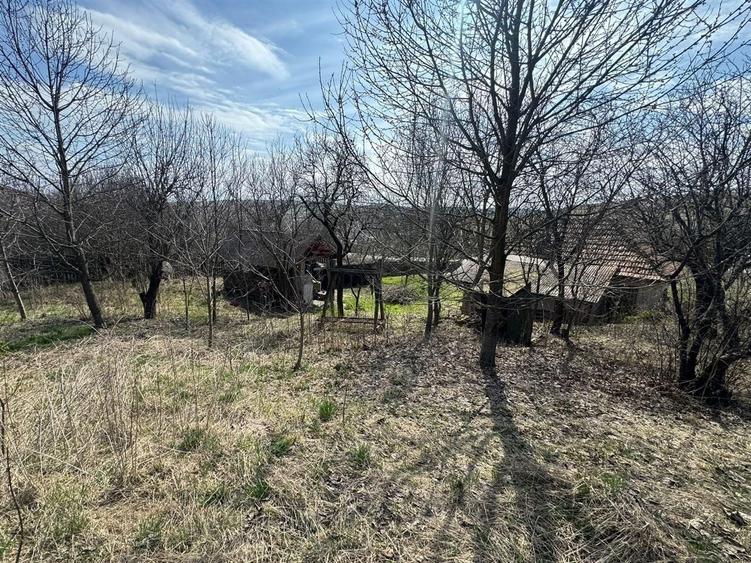 Teren Construcții intravilan de 11400 mp, în Corpadea