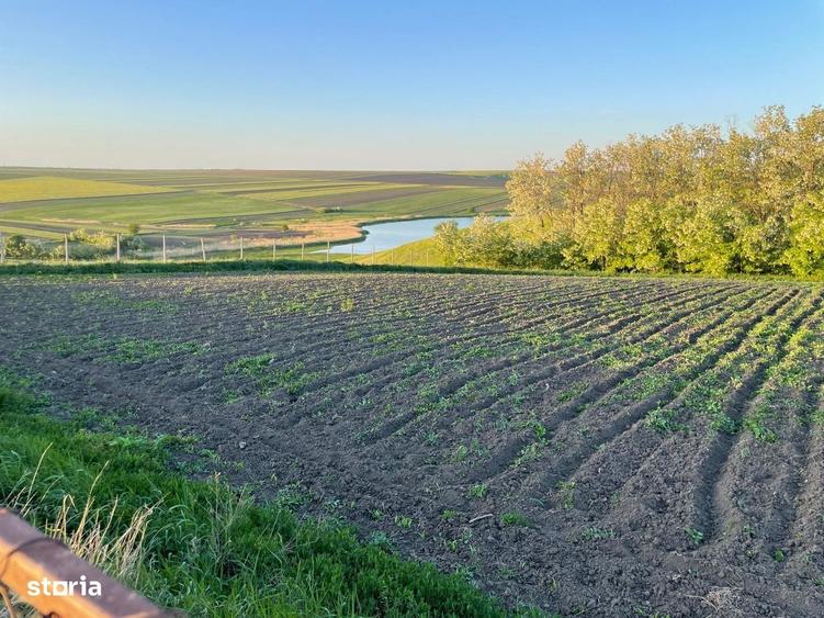 Teren de 3100 mp, în Bălțați