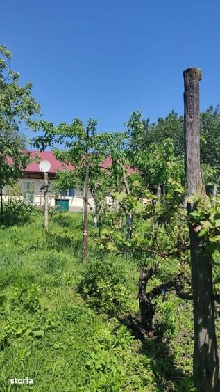Casă cu 2 camere cu Teren 2000 Mp în Urecheni