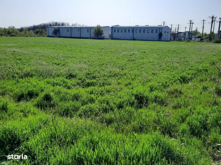 FARA COMISIOANE in Joita aproape de drumul asfaltat teren de 4600mp - 6