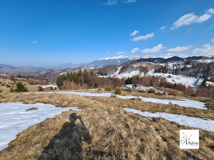 Teren Construcții extravilan de 150000 mp, în Șirnea