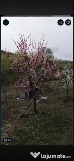Teren de 2100 mp, în Gârbova