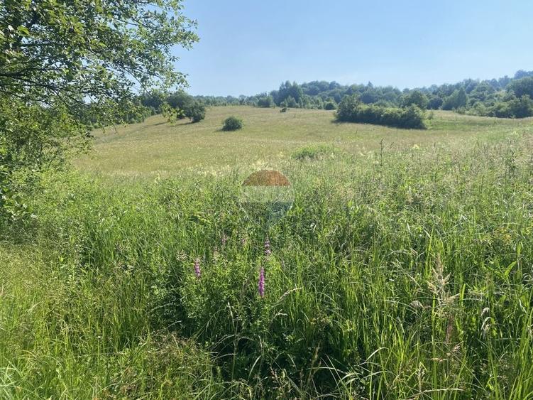 Teren agricol extravilan de 4306 mp, în Vama Buzăului