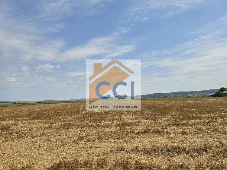 Teren intravilan 50.000 mp, Bacau, ?oseaua Hol - 5