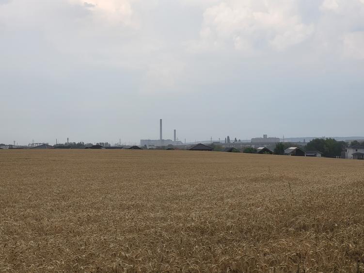 Teten extravila de vânzare 5800 mp - 1