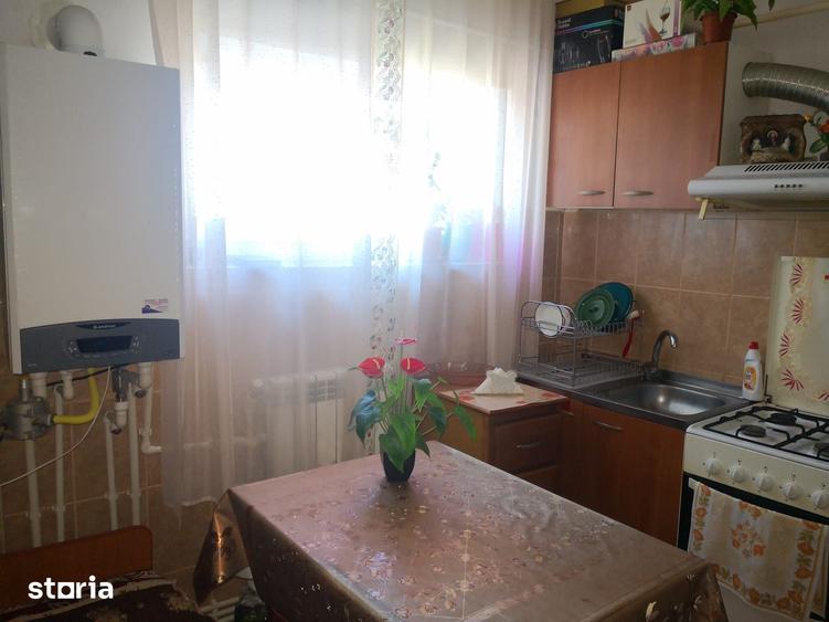 Apartament 2 camere Str. Primaverii - 7