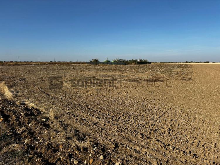 Teren agricol intravilan de 1000 mp, în Sud