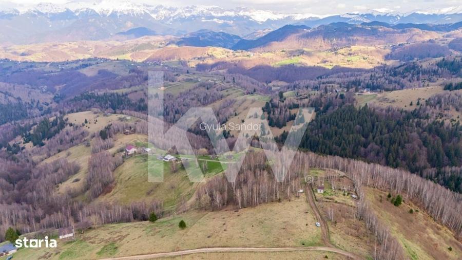Teren de vanzare Sirnea- Comision 0%