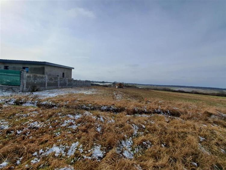 Teren intravilan de 1600 mp, în Cordău