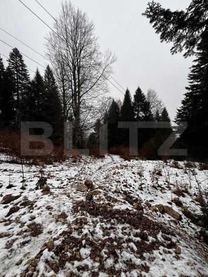 Teren Construcții intravilan de 4000 mp, în Calea Moroieni