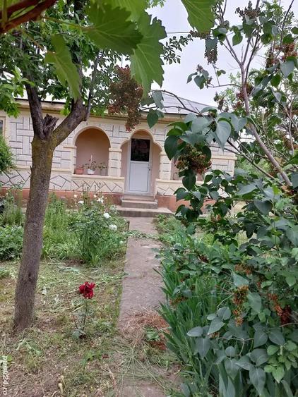 Casă cu 5 camere cu Teren 4000 Mp în Smârdan