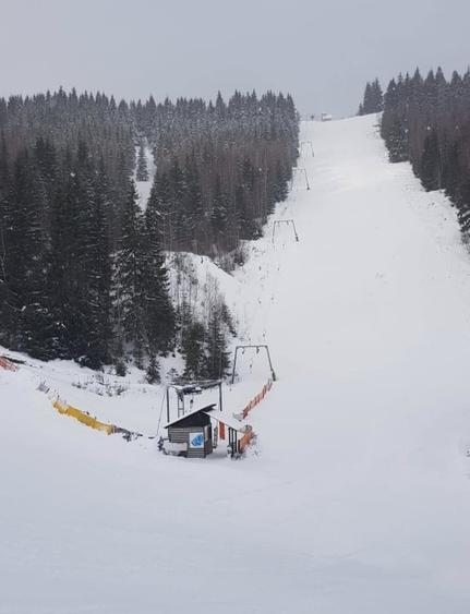 Teren Construcții intravilan de 280000 mp, în Mestecăniș