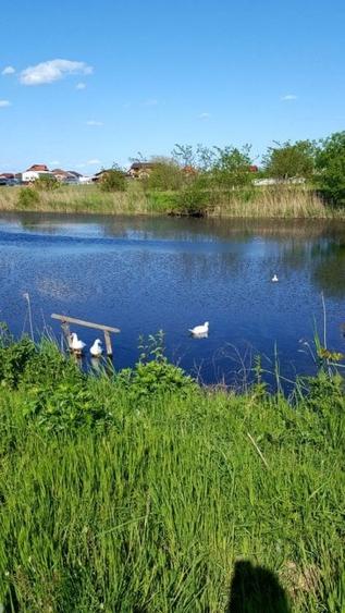 Teren intravilan de 430 mp, în Mila 23