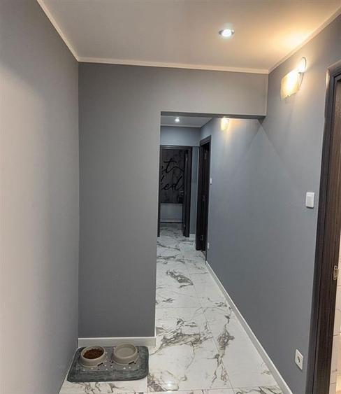 Apartament cu 3 camere decomandat, mobilat în Frumoasa