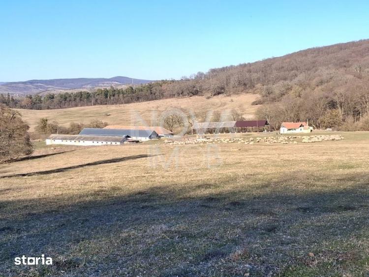 Ferma complet echipata de vanzare zona Agnita, judetul Sibiu - 9