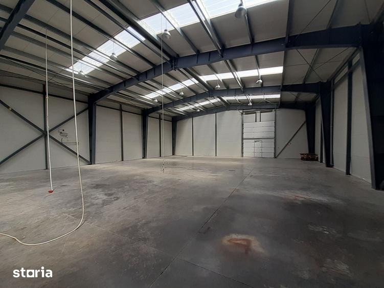 Hale de 500mp si 600mp in zona Progresul, Jilava - 9