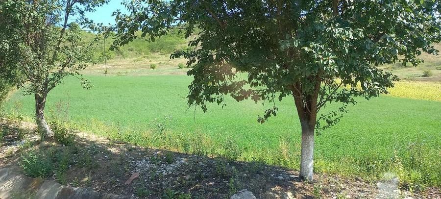 Teren de 5500 mp, în Central