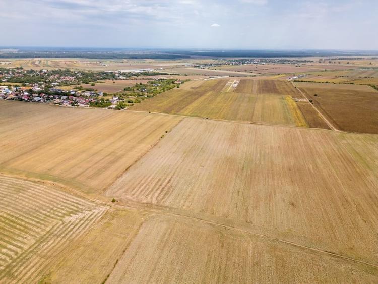 Teren Construcții intravilan de 7500 mp, în Dascălu