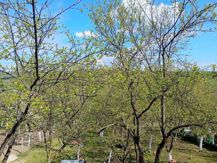 Casă cu 4 camere în Herneacova