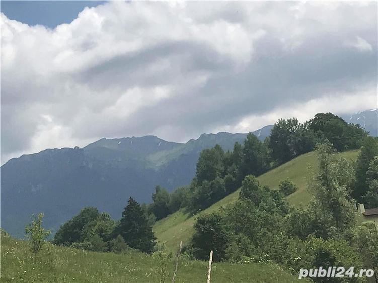 Teren de 10000 mp, în Bran