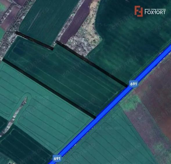 Teren de 106400 mp, în Pișchia