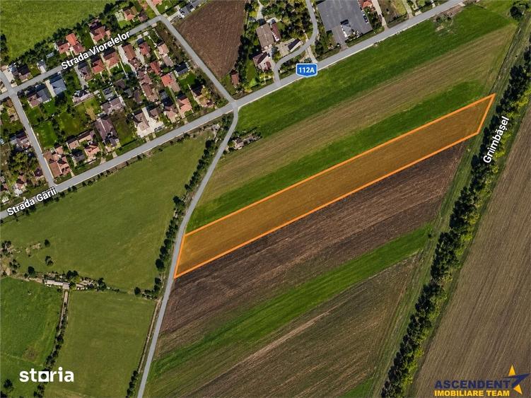 Teren intravilan 10.000 mp, parcelabil, plan, acces asfaltat, Bod, Bra - 6